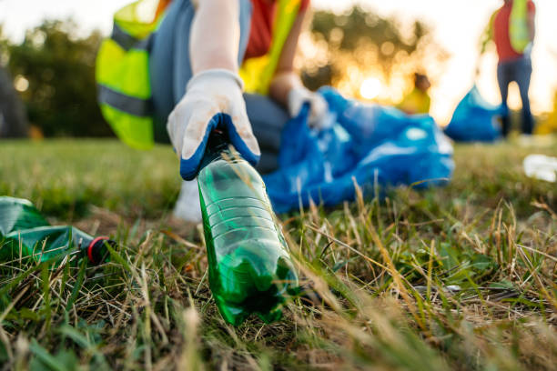 Best Yard Waste Removal  in Brookston, IN